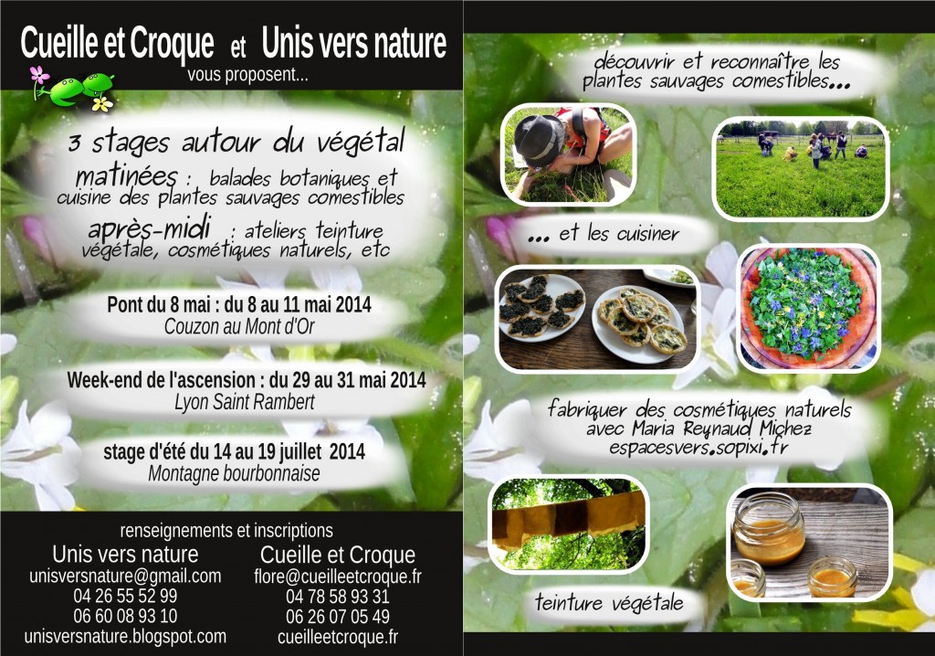 Flyer stages plantes sauvages